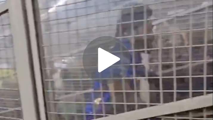 [Watch] Hardik Pandya Bangs On Fence As Crowd Chants ‘Rohit Rohit’ In IPL 2024